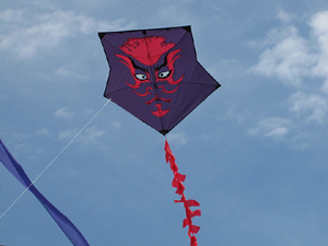 our Suruga style kite, Callaway 2014