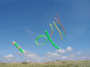 pink and green line