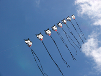 Felix the Cat kite train