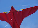 Voitländer classic kite closeup