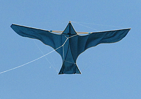 Voightlander bird kite