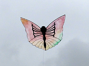 painted butterfly