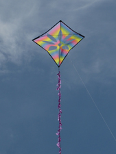 Flower holey kite