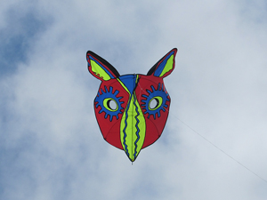 Bird mask kite
