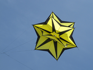 black and yellow star