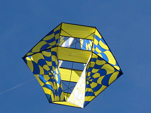 The op-art kite