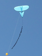 ripstop Trampoline kite