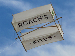 Roach's kite flying