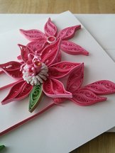 pink flower card detail