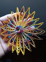 large quilled comb flower