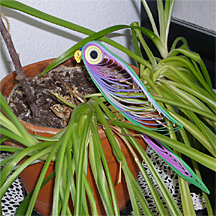 quilled Parrot
