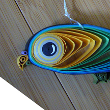 quilled parrot's eye