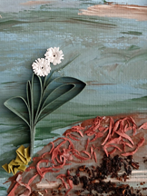 leaping frog close-up 2