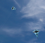 replica kites flying over Fanø