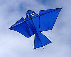 Arno Haft bird kite