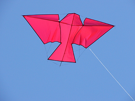 Arno Haft bird kite